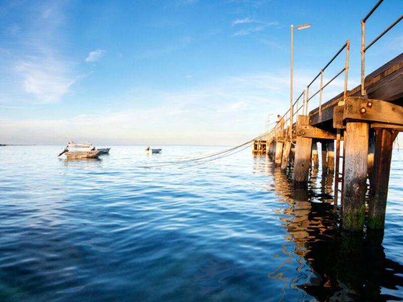 Kangaroo Island: Half-Day Tour Guided Coach Tour - Final Thoughts