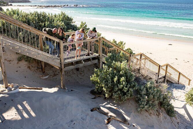 Kangaroo Island in a Day Tour from Adelaide - The Value for Money