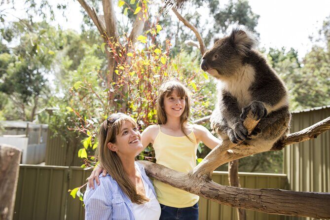 Kangaroo Island in a Day Tour from Adelaide - Final Thoughts