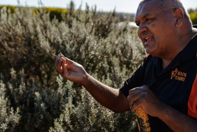 Kangaroo Island: Indigenous Day Tour - An In-Depth Look at the Tour Experience