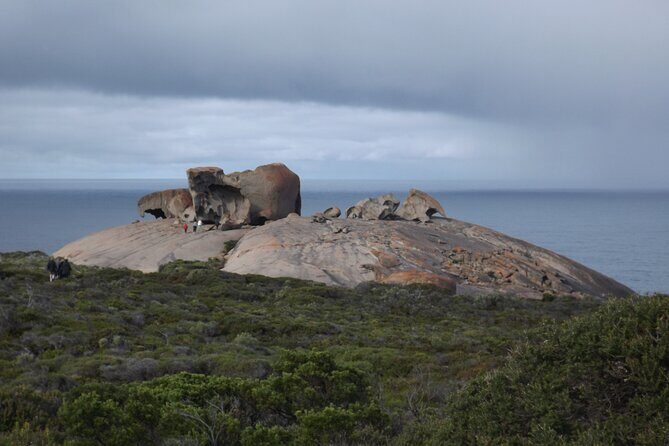 Kangaroo Island Scenic Nature and Wildlife Day Tour - FAQ