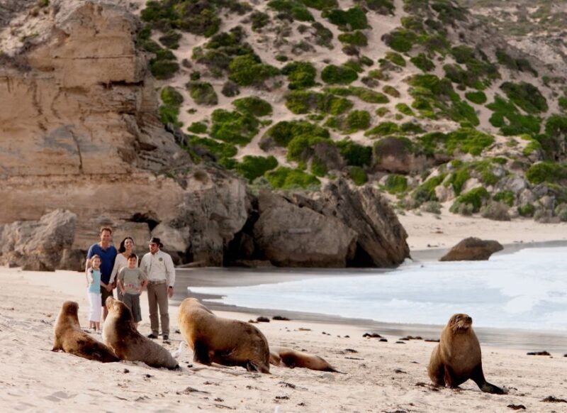 Kangaroo Island: Scenic, Nature & Wildlife Tour - Key Points
