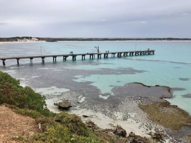 Kangaroo Island: Scenic, Nature & Wildlife Tour - Exploring Kangaroo Island: What to Expect from the Tour