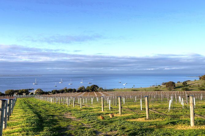 Kangaroo Island Shore Excursion Tasting Tour - For Cruise Ship Passengers Only - The Itinerary in Detail
