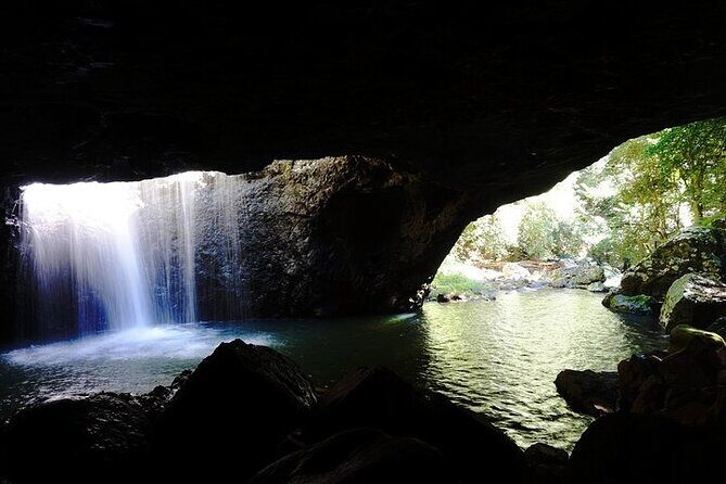 Kangaroos, Rainforest & Waterfalls Experience - Small Group - Who Would Enjoy This?