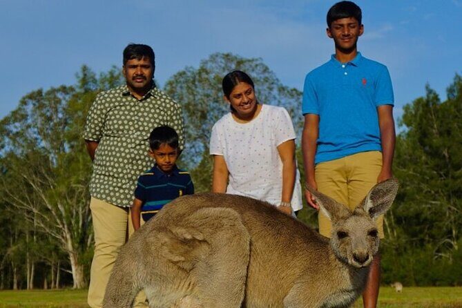 Kangaroos, Rainforest & Waterfalls Experience - Small Group - The Sum Up