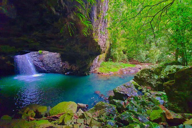 Kangaroos, Rainforest & Waterfalls Experience - Small Group - FAQ