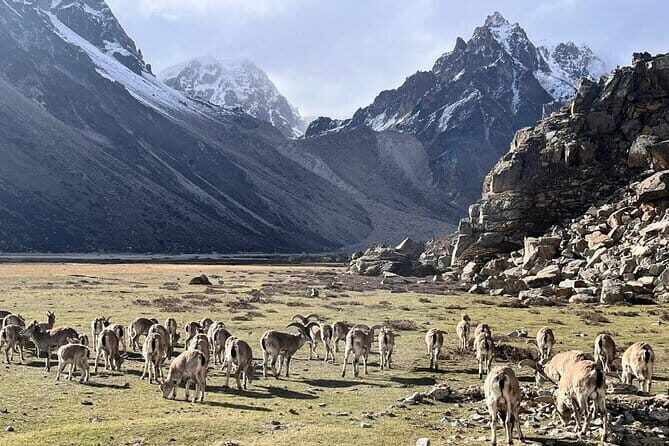 Kangchenjunga Circuit South and North Base Camp Trek - Cost and Value