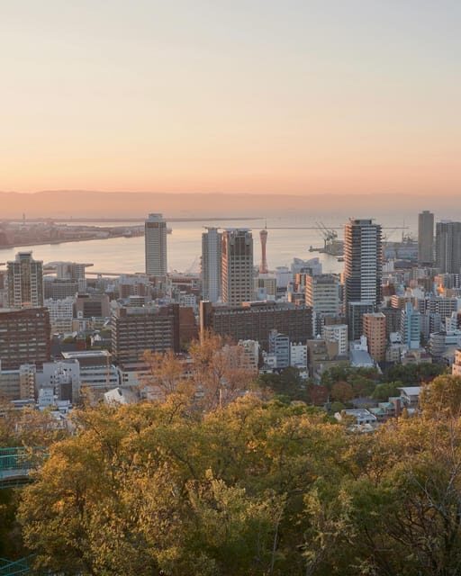 Kansai 10-hour chartered day trip Kobe - Who Should Consider This Tour?