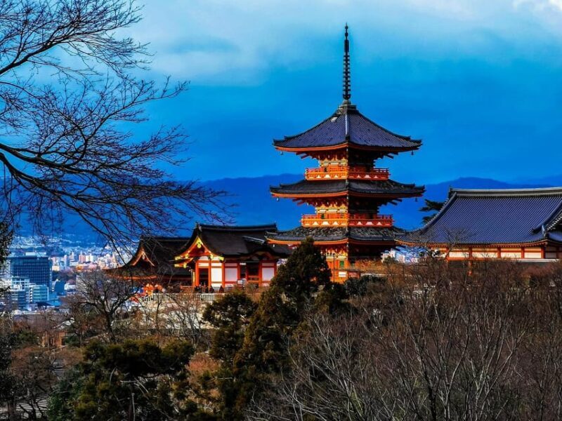 Kansai 10-hour chartered day tripKyoto - An In-Depth Look at the Kyoto Private Day Trip