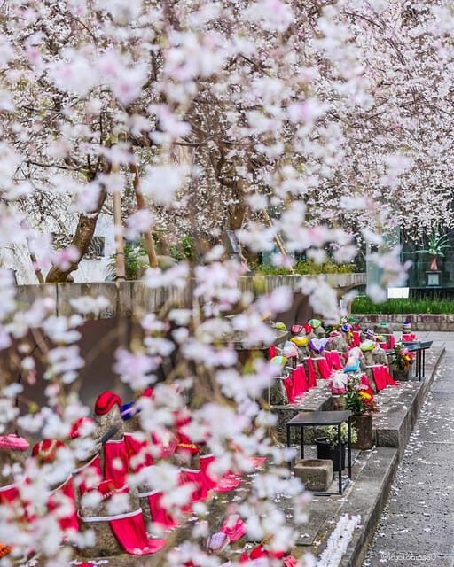 Kansai 10-hour chartered day tripKyoto - FAQ