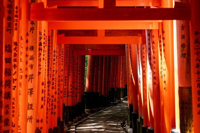 Kansai Day Trip Nara Deer, Torii Gates and Arashiyama - Final Thoughts: Who Will Love This Tour?
