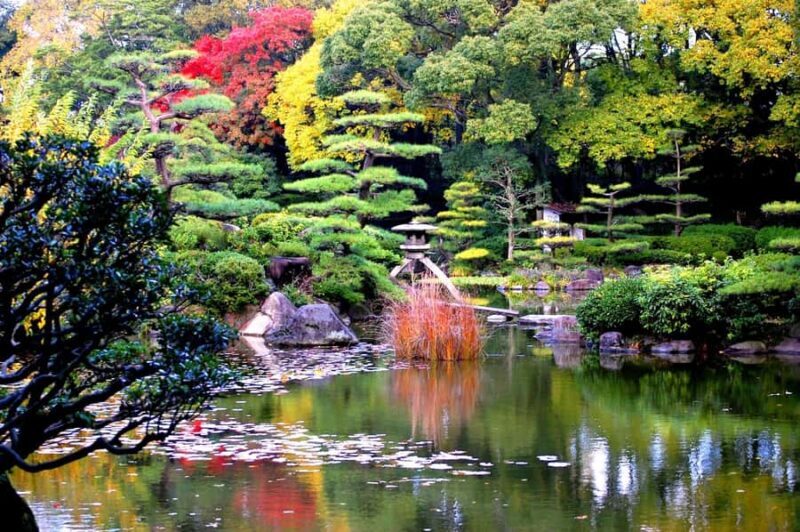 Kansai Garden Day Trip with Tea Ceremony - A Deep Dive into the Day’s Highlights