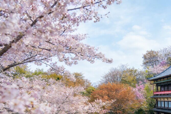 Kansai Hidden Cherry Blossom Gems Seasonal Exclusive Day Trip - In The Sum Up