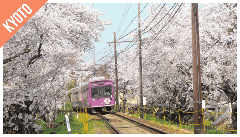 kansai-kansai-pass