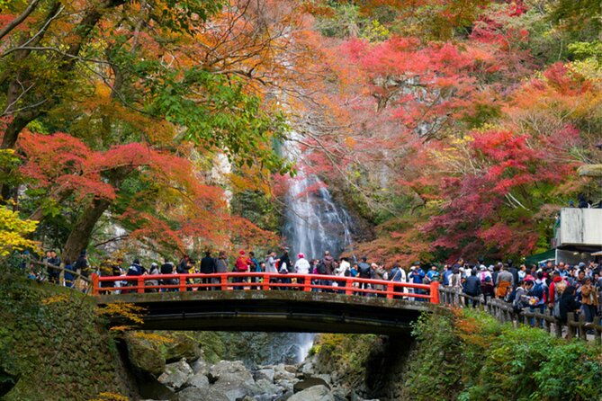 kansai-region-hiking-adventure-in-nara-kobe-kyoto-and-more