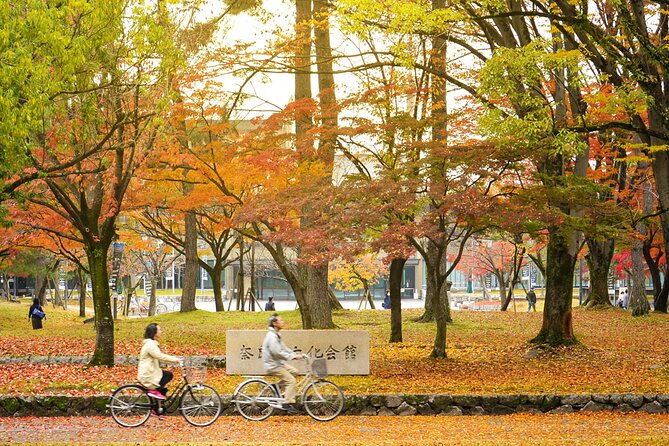 kansai-region-hiking-adventure-in-nara-kobe-kyoto-and-more