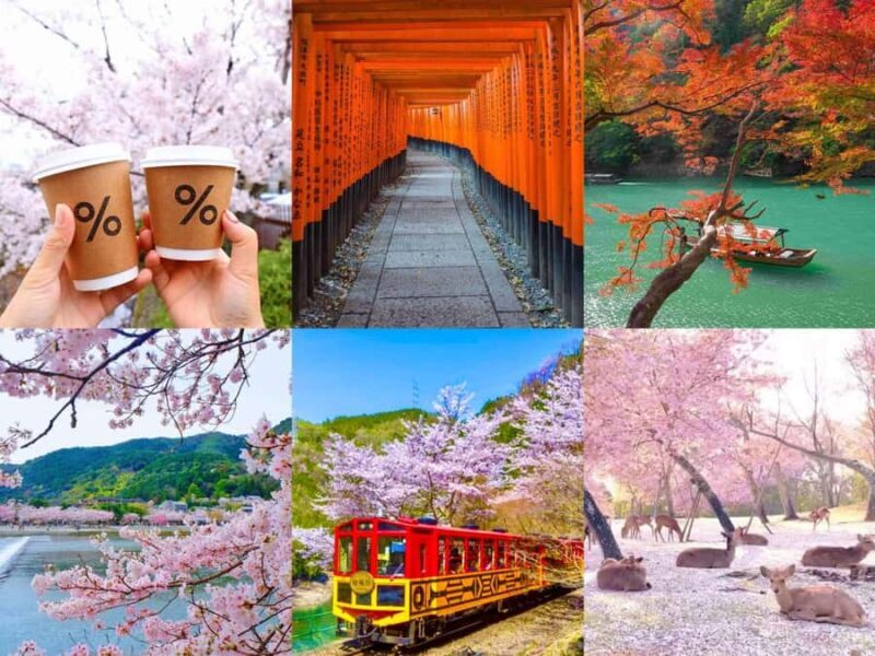 Kansai Region: Private Custom Highlights Tour with Pickup - The Value of a Private Custom Tour in Kansai