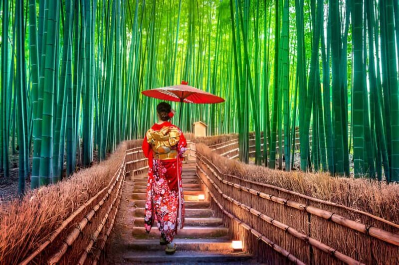 Kansai Region: Private Custom Highlights Tour with Pickup - Pricing and Value