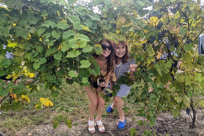 kansas-city-brewery-winery-and-distillery-tour