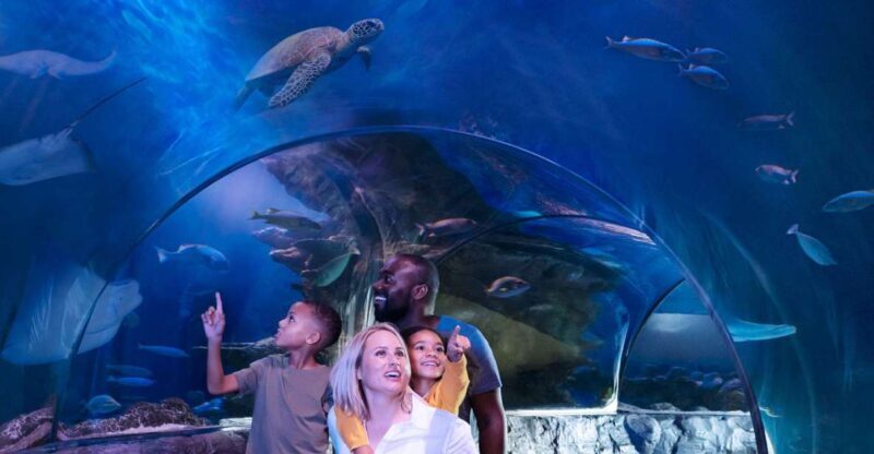 Kansas City: SEA LIFE Kansas City Aquarium General Admission - Final Thoughts