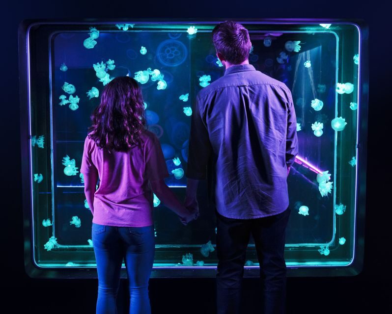 Kansas City: SEA LIFE Kansas City Aquarium General Admission - FAQ