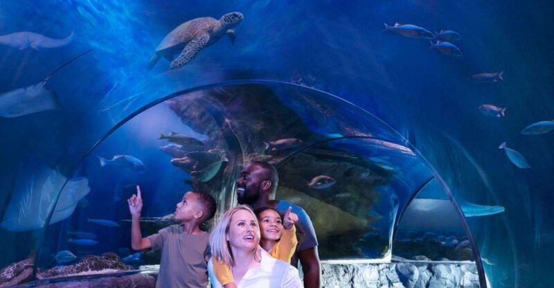 kansas-city-sea-life-kansas-city-aquarium-general-admission