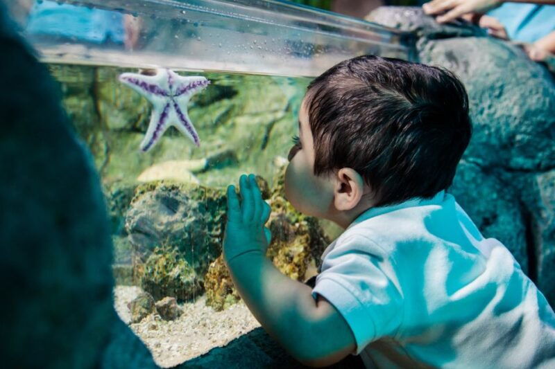kansas-city-sea-life-kansas-city-aquarium-general-admission