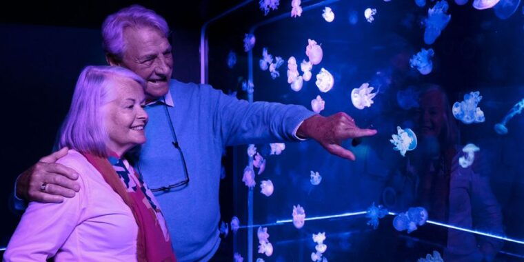 kansas-city-sea-life-kansas-city-aquarium-general-admission