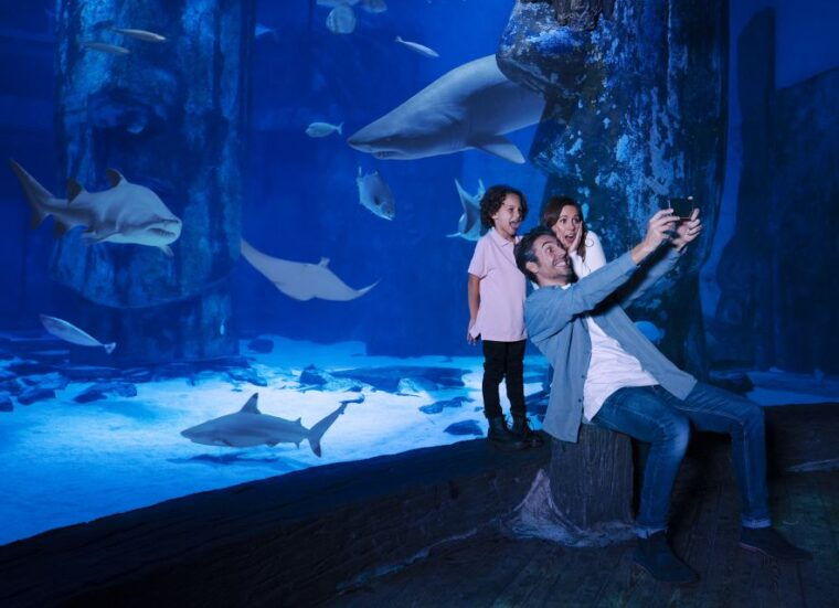 kansas-city-sea-life-kansas-city-aquarium-general-admission