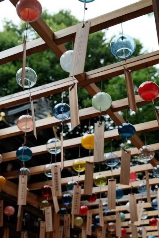 Kanto 10-hour chartered day trip Kawagoe - Who Will Love This Tour?