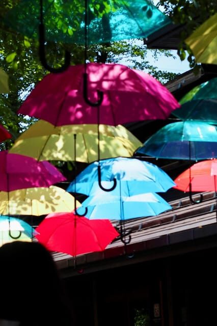 Kanto 10-hour chartered day tripKaruizawa - Key Points