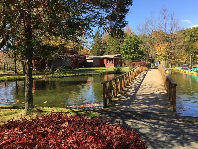 Kanto 10-hour chartered day tripKaruizawa - Discovering the Charm of Karuizawa on a 10-Hour Private Trip