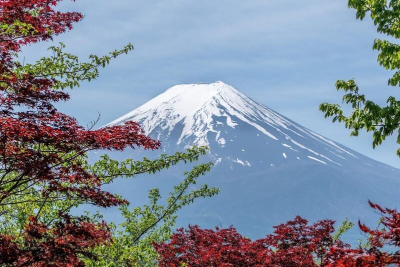 Kanto 10-hour chartered day tripMt. Fuji Day Trip - Detailed Breakdown of the Itinerary
