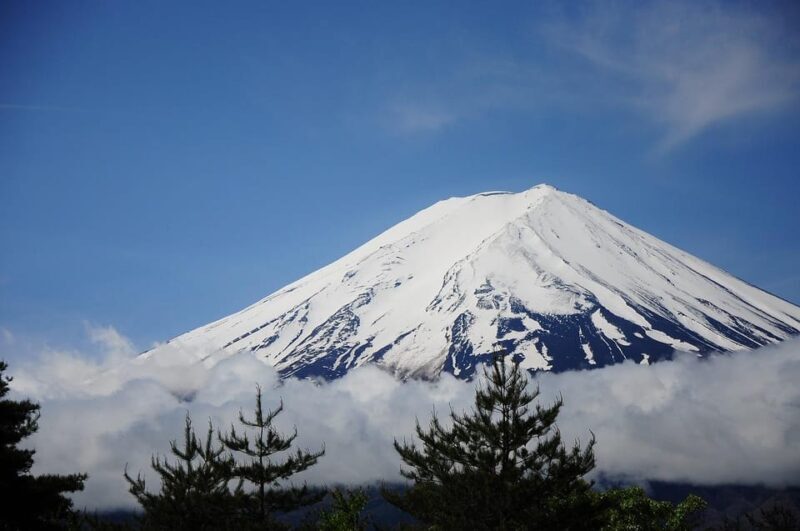 Kanto 10-hour chartered day tripMt. Fuji Day Trip - Practical Details and Considerations