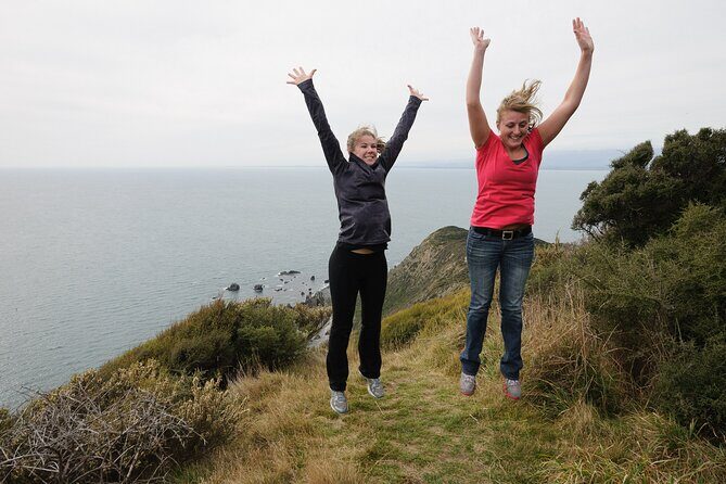 Kapiti Island Classic Guided Day Tour - The Itinerary in Detail