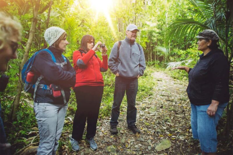 Kapiti Island: Classic Guided Day Tour - Key Points