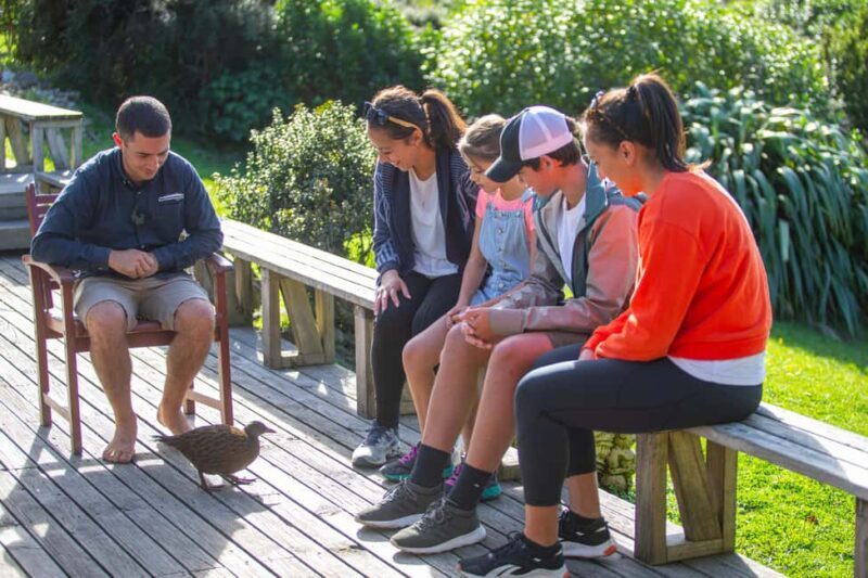 Kapiti Island: Classic Guided Day Tour - Exploring Kapiti Island: What You Can Expect
