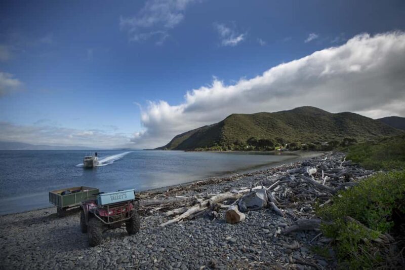 Kapiti Island: Classic Guided Day Tour - FAQs about the Kapiti Island: Classic Guided Day Tour