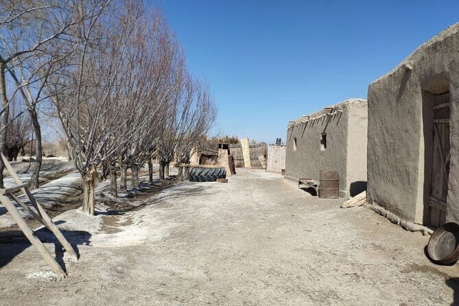 Karakalpak Heritage Tour to Chimbay and Khalkabad Villages - Making Sense of the Price and Value