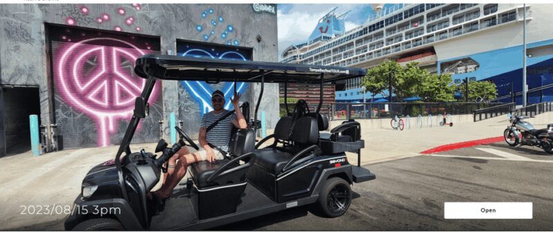 Karaoke Golf Cart City Tour  Tampa! - What We Love About the Karaoke Golf Cart City Tour