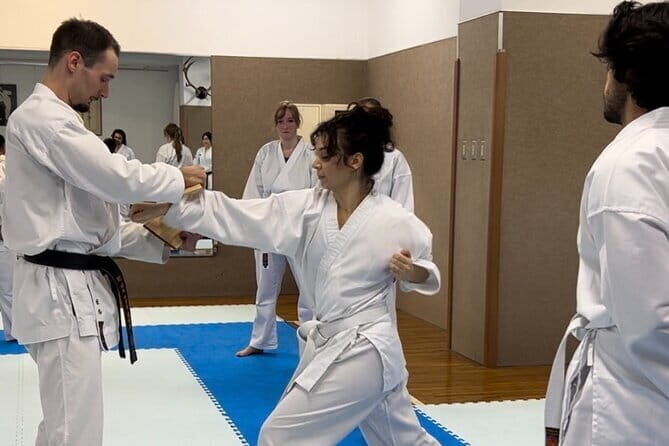 Karate Experience with the Shotokan Karate-do Instructor - Introduction