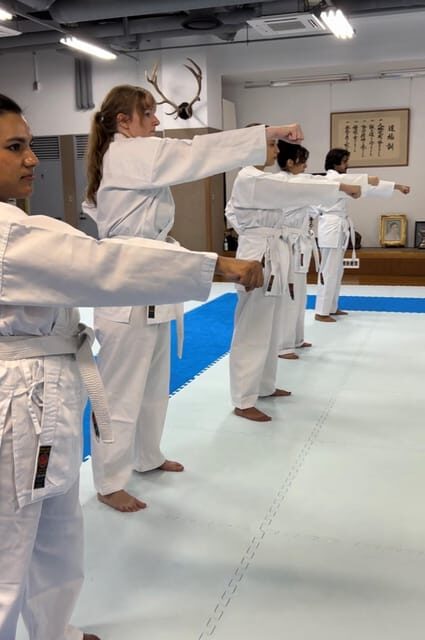 Karate Experience with the Shotokan Karate-do Instructor - Who Will Love This Experience?
