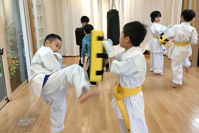 Karate in Japan Traditional Martial Art Experience - Key Points