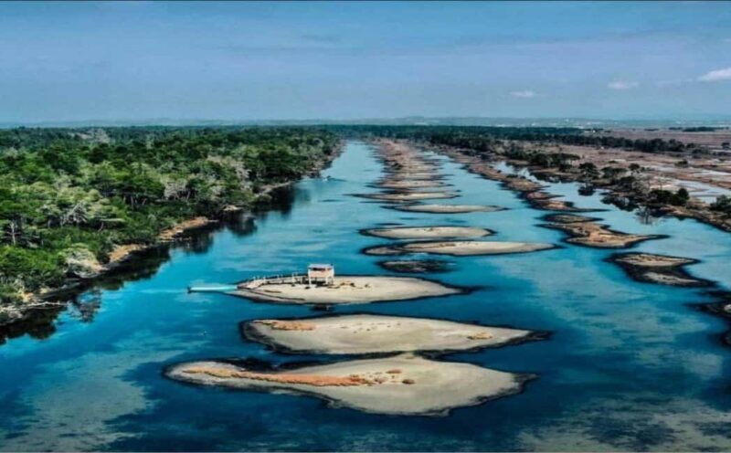 Karavasta:Bird Watching, Tower Views & Lagoon Exploration - Exploring the Itinerary: What to Expect