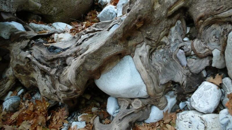 kardamili-hiking-in-ridomo-gorge