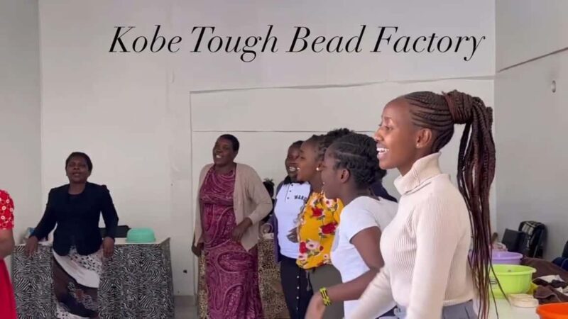 Karen Blixen Museum and Kobe Beads Center Day Tour - What Could Be Better