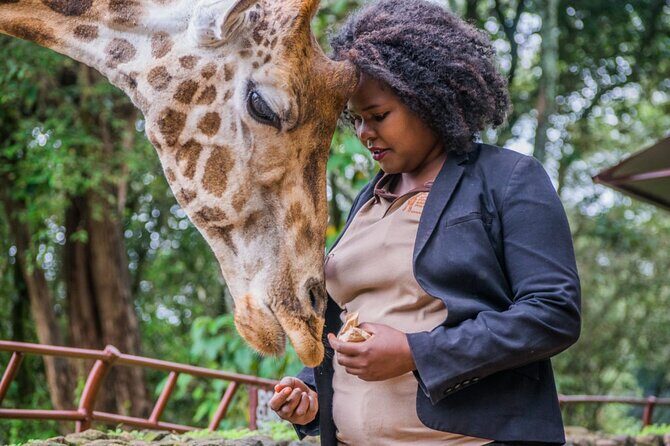 Karen Blixen Museum & Giraffe Centre Half day tour - FAQs