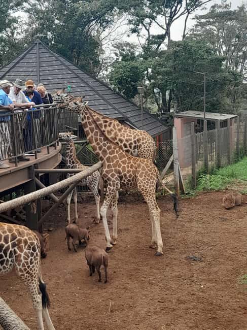 Karen Blixen museum, Kobe beads and Giraffe center - Key Points