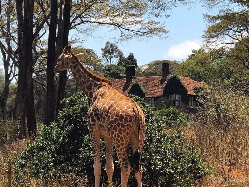 Karen Blixen museum, Kobe beads and Giraffe center - FAQs
